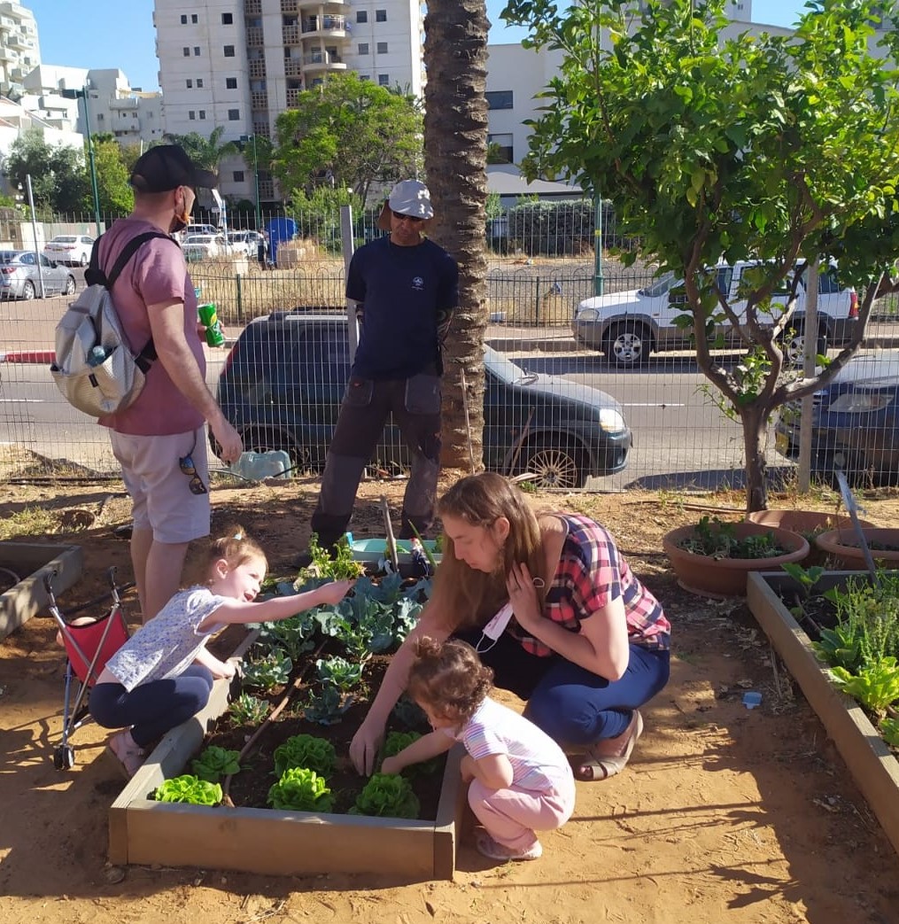 תמונה של תושבי העיר שותלים שתילים בערוגה