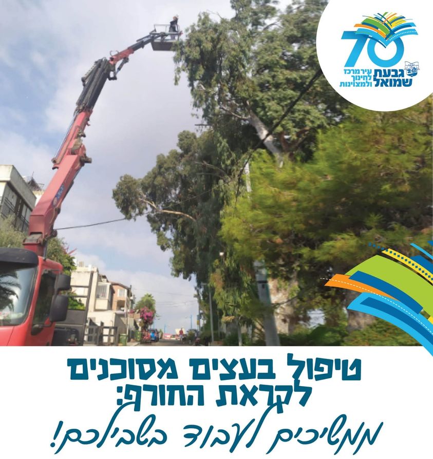 מודעה בנושא גיזום עצים לקראת החורף. בתמונה: מנוף שגוזם עצים