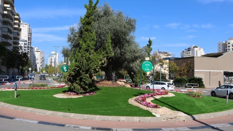 העיר שלנו פורחת