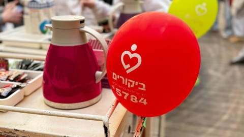 תל השומר