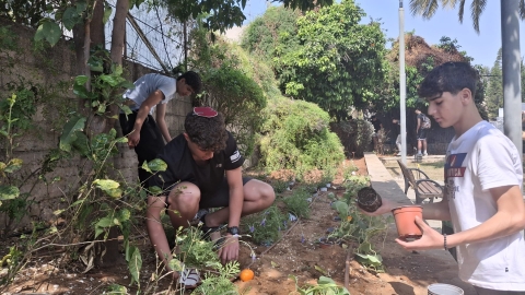 חידוש גינת יד לבנים (2).jpeg