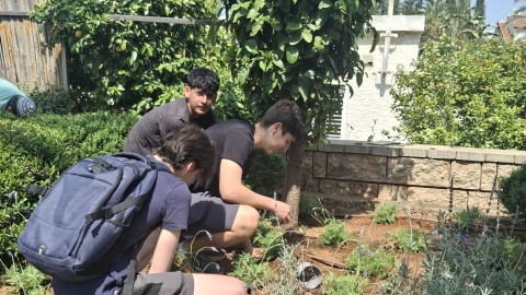 חידוש גינת יד לבנים (3).jpeg