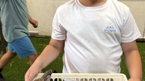 קייטנות קיץ 11.jpg