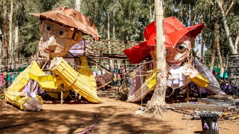 מחנה הקיץ של מועדוני הנוער בגבעת שמואל 2.jpg
