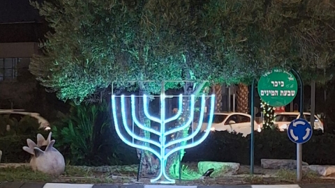 מיצגי תאורה מרהיבים ​לרגל חג החנוכה 1.jpg