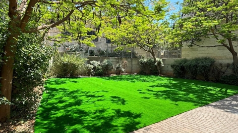 שפע של עשייה בגבעת שמואל 2.jpg