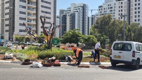 בעת שמואל פורחת 30 אלף פרחי עונה נשתלו ברחבי העיר 3.jpg