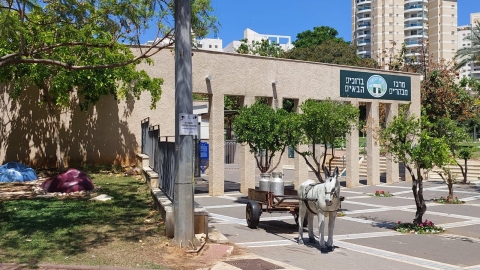 שימור אתר הבאר ההיסטורי 4.jpg